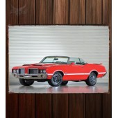 Металлическая табличка Oldsmobile Cutlass 442 L75 Convertible